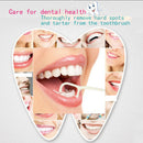 100 Pcs Disposable Dental Flosser Interdental Brush Teeth Stick Floss Oral C Nw