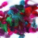 50pcs Mixed Color Simulation feather S7X1