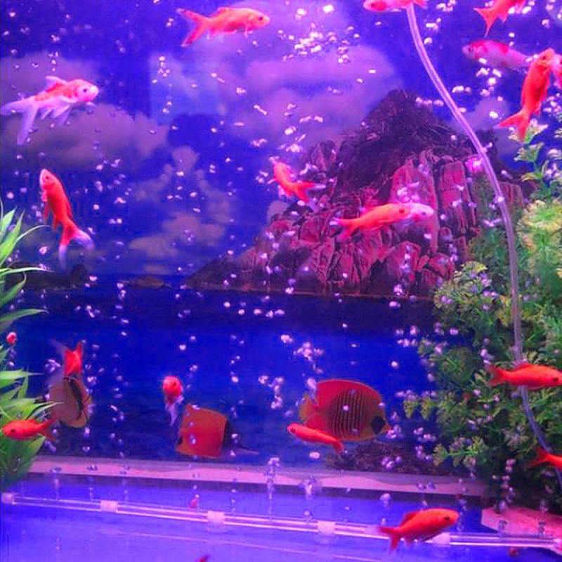 Aquarium Fish Tank Pump Air Stone Bar Line Strip Curtain Diffuser Aeration Tube