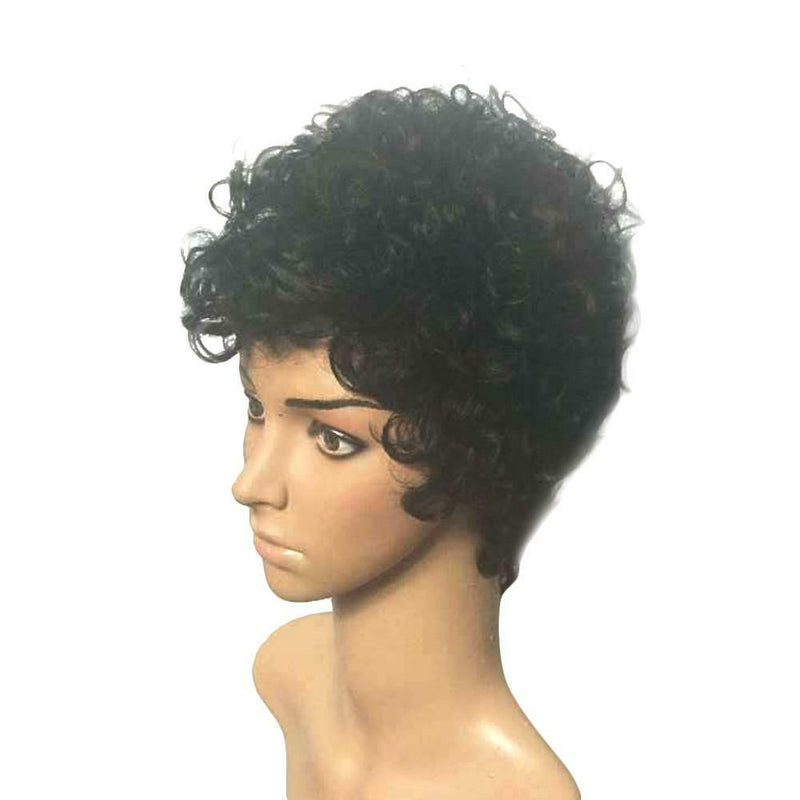 Black Short Curly Wigs Natural Synthetic Hair Wigs for Man Women