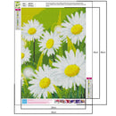 Vibrant Flower Diamond Painting DIY Full Round Drill 5D Needlework (B2415) A