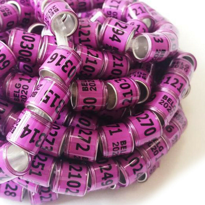 Set of 100 Racing Pigeon Leg Ring 8mm Leg Band Multi-color Purple Belgium