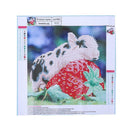 Diamond Painting Baby Pig Sleep on Strawberry Cross Stitch Embroidery Decor
