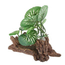 2Pieces Terrarium Aquarium Fish Tank Plants For Bearded Dragons Lizards