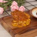 1Pc Feng Shui Toad Money LUCKY Fortune Wealth Chinese Golden Frog Toad Orname Gw