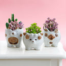Cute Sheep Ceramic Flower Pot Succulent Plant