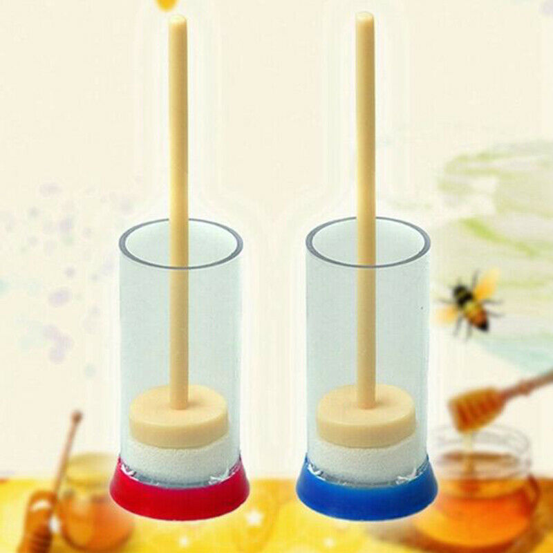 Bee Queen Marking Marker Cage Bottle Plunger push Beekeeping Beekeeper Hot J Gw
