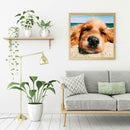 5D DIY Full Drill Diamond Painting Dog Cross Stitch Embroidery Mosaic Kit