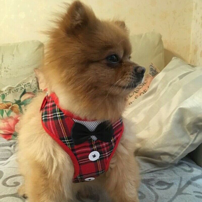 Dog Vest Pet Dog Harness Leash Set for Small Medium Dogs Bow Tie Formal Dre
