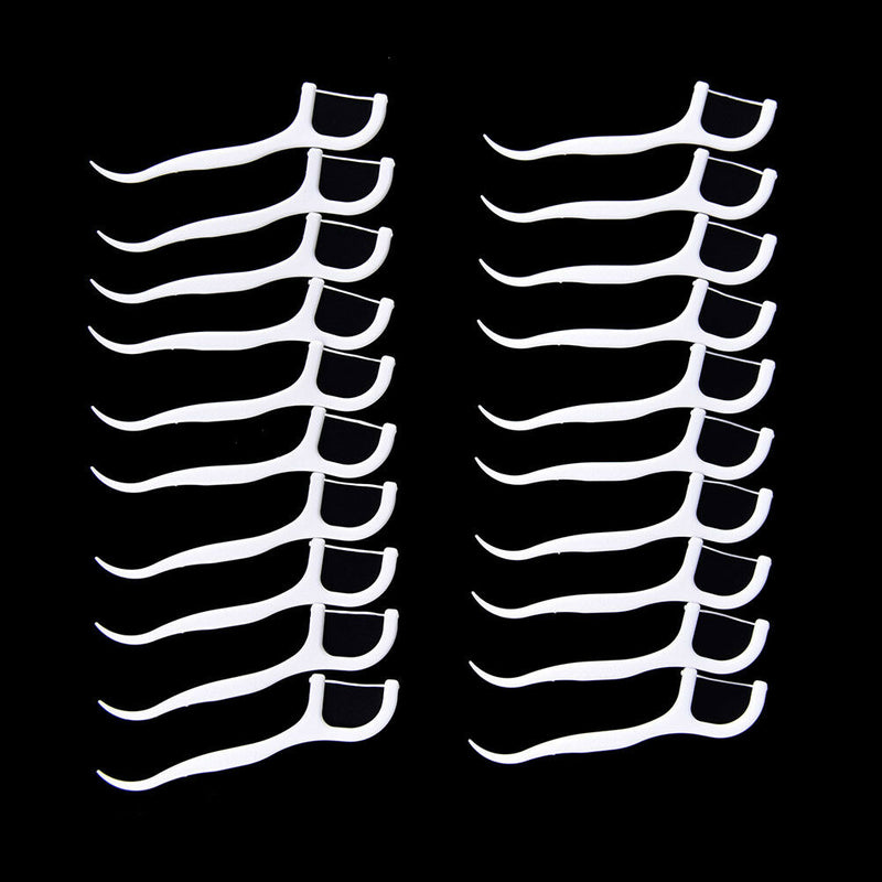 20X Dental Floss Flosser Picks Teeth Toothpicks Stick Oral Care Tooth CleanSP