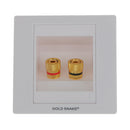 2Pcs 1 Speaker Wall Face Plate 1 Gang 2 Binding Post Banana Plug Audio Surround