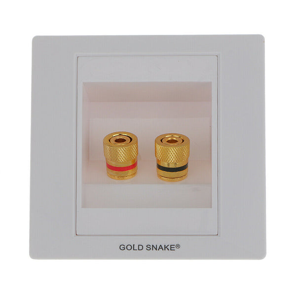 2Pcs 1 Speaker Wall Face Plate 1 Gang 2 Binding Post Banana Plug Audio Surround