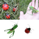 2 Pieces Magnetic Lifelike Ladybug & Katydid Clay Insects Bugs Figures Realistic
