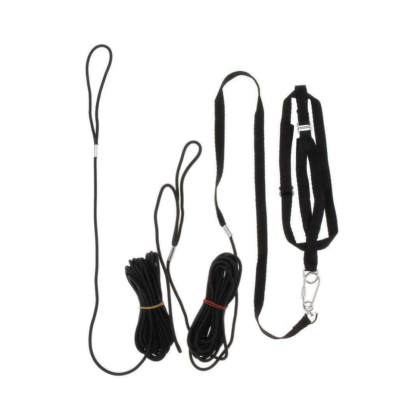 Set Of 2 Birds Leash Parrot Traction Rope For Medium Large Birds