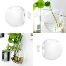 4x Creative Wall Hanging Planter Glass Flowerpot Ornament for Indoor Home Office