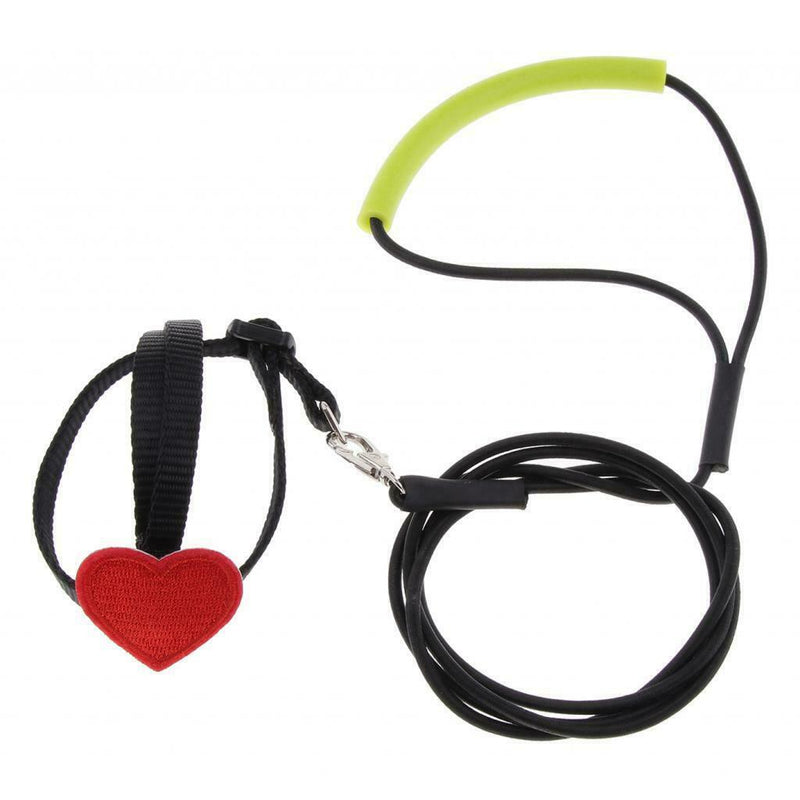 3x  Bird Harness And Leash for Birds Macaw Cockatoos Amazon Parrot Budgies