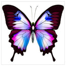 5D DIY Full Drill Diamond Painting Butterfly Cross Stitch Embroidery Mosaic
