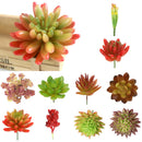 2 Pcs Lifelike Artificial Succulent Real Touch Plastic Plant Home Decoration