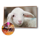 Full Drill Animal Diamond Painting Mosaic Rhinestone Handwork (LD496 Sheep)