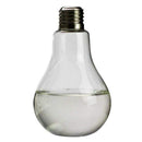 Transparent Glass Bulb Shape Table Vase for Plants Flowers Home Garden Wedd E8O1