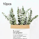 10pcs Natural Dried Flower Eucalyptus Branches Leaves Bouquet Home Decor Tool