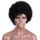 Brazilian Short Kinky Curly Afro Wigs For Black Women Hair Wigs For African E2X4