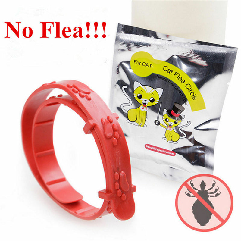 Protection Cat Neck Strap Anti Flea Mite Acari Tick Remedy Pet Collar