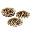 5x Sea Shell Decor Dinner Placemat Decoration Home Cup Coaster 3.7" Mat