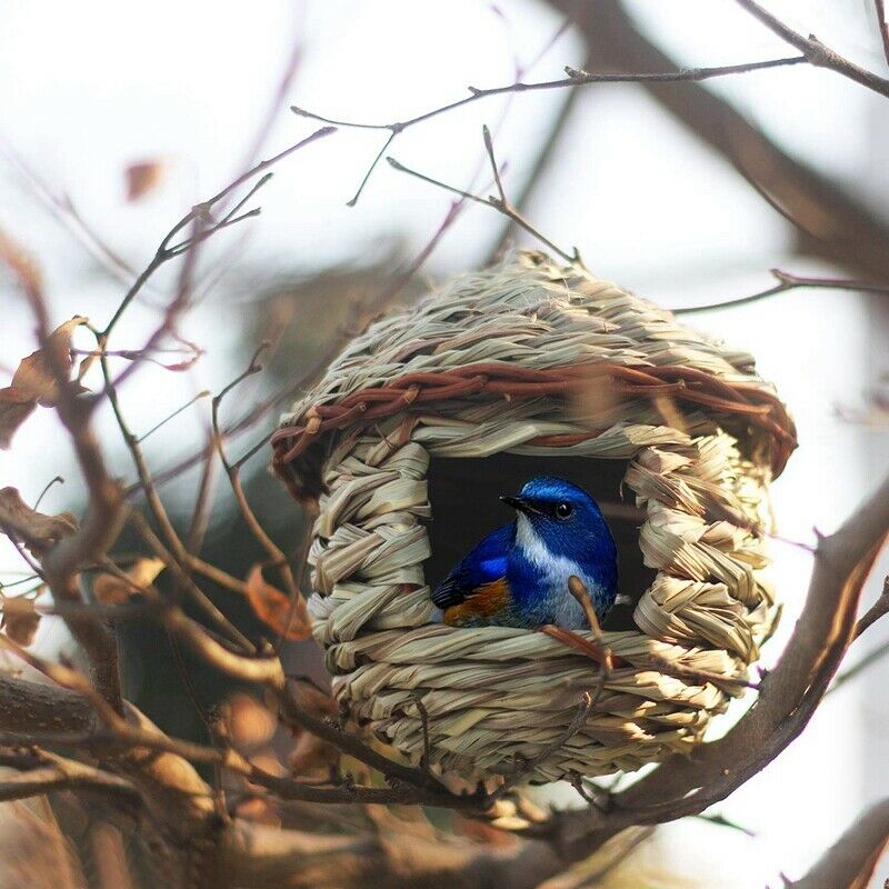 Grass Bird Hut ,Cozy Resting Place for Birds,Provides Shelter From Cold WeatJ9X5