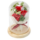 LED Night Lights Ornaments Three Rose Flower Glass Dome Fairy String Lights