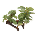2x Reptile Plants Terrarium Lifelike Plants For Lizards Habitat Decoration