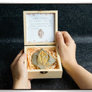 Trilobite Fossils Collection in Box Fossils Millions of Years Old!