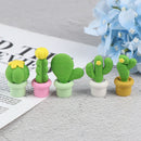 5 pcs/pack Cactus Series Eraser Set Rubber Eraser Student Prizes Gift Station Gw