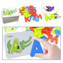 36pcs Number and Alphabet Flash Cards for Toddlers ABC Plastic Letters and