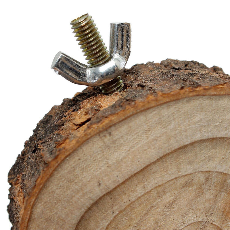 Parrot Pet Bird Round Platform Toys Wooden Hanging Stand Perch Cockatiel Fun