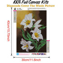5D DIY Full Drill Diamond Painting Flower Rhinestone Cross Stitch (B855)