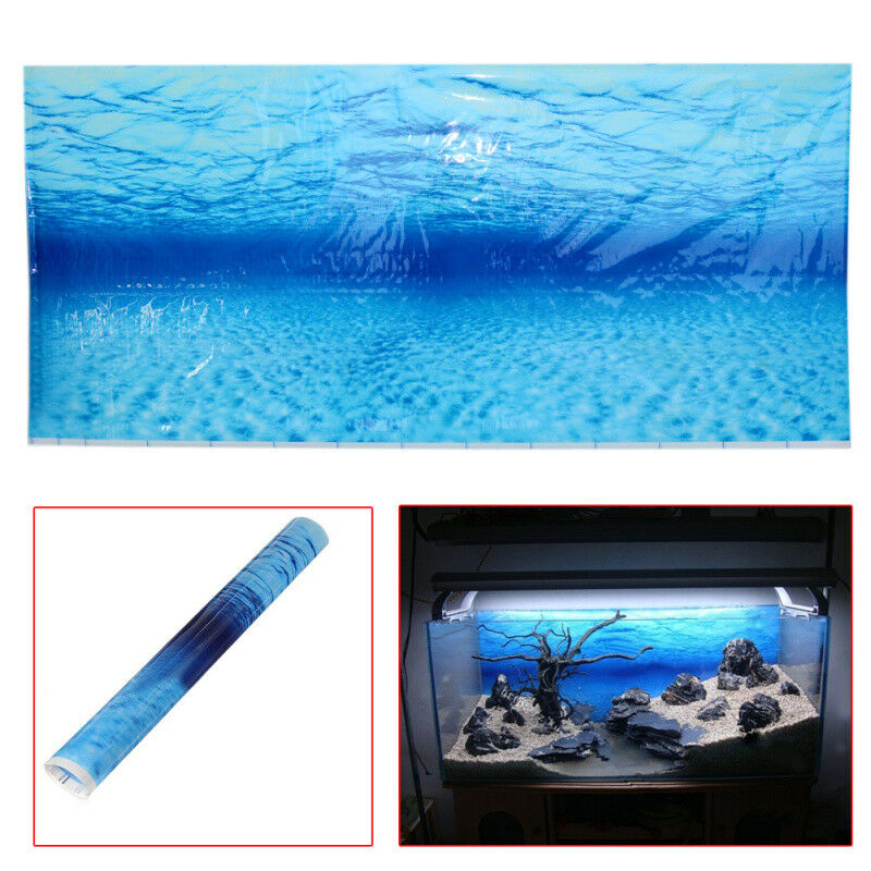 Blue Fish Tank Aquarium Background Plastic Poster Picture Decorative Accessories