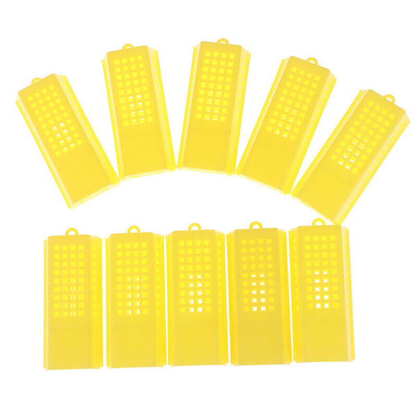 10Pcs Professional Queen Bee Cage Catcher Plastic Beekeeping Travelling Butler!E