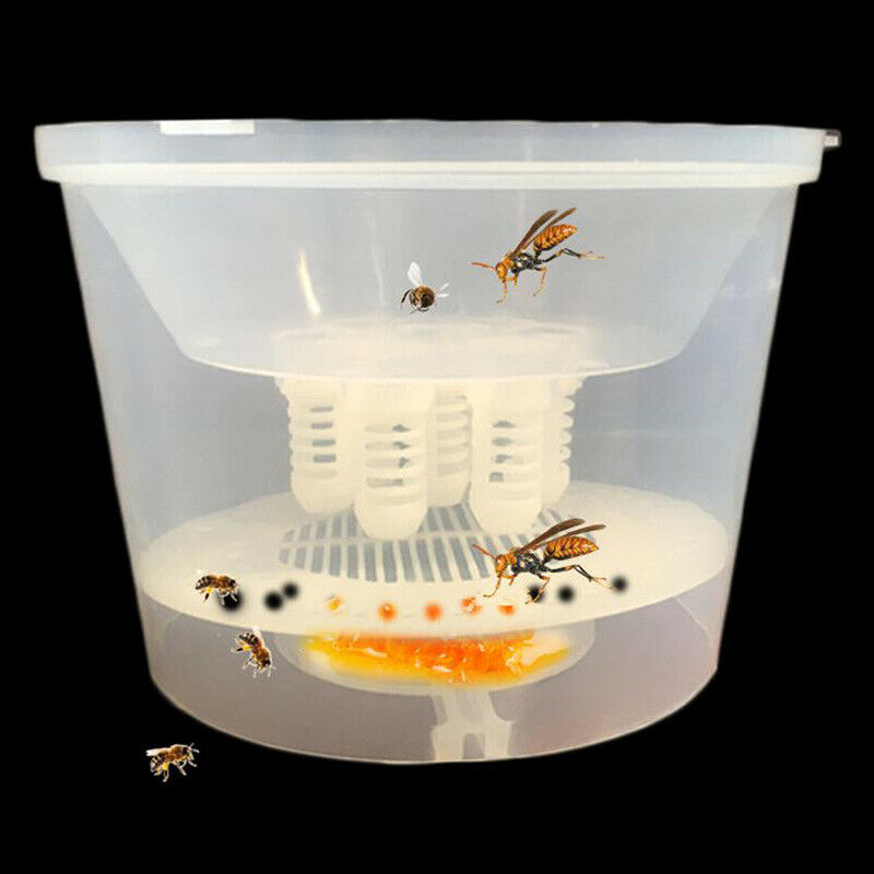 Bee Tools Hornet Trapper Fly Bug Catching Traps Wasp Catcher Hanging On Tre