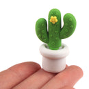 5 pcs/pack Cactus Series Eraser Set Rubber Eraser Student Prizes Gift Station Gw