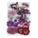 1 Set Natural Real Dried Flowers Card Making Album Frame Decor 2.5-3.5cm