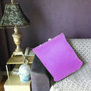 2x Decorative Velvet Both Sides Pillow Case Soft Suede