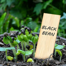 Bamboo Garden Plant Labels Vegetable Herbs Gardening Markers T-Type Plant TaE6E2
