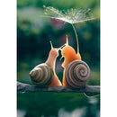 5D DIY Full Drill Diamond Painting Snails Cross Stitch Embroidery Kit Craft
