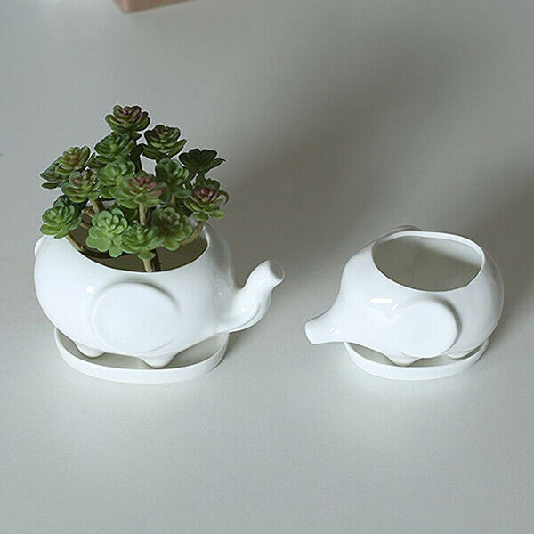 Set of 2 Cute Elephant White Ceramic Flower Pot with Tray for Succulents Ca S8K5