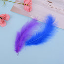 50pcs/set turkey feathers 10-15cm chicken plumes for carnival diy craft decor â„–[
