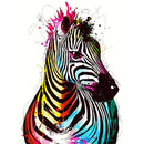 Painting By Numbers Kit DIY Color Zebra Hand Painted Canvas Oil Art Picture