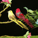 12pcs DIY Artificial Birds with Clip Simulated Colorful Feather Home Decor