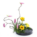 Set of 2 Japanese Flower Vases Round Plastic Flowerpot Black 23cm &