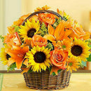 5d diy diamond flower painting stitch cross kits diamond embroidery sunflow Y4Q8